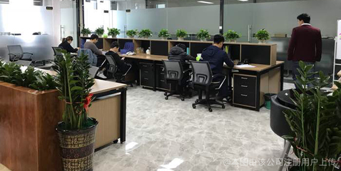 乘势而上 信息咨询行业的新机遇与专业洞察