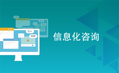 信息化咨询与信息咨询 数字化时代的双轮驱动